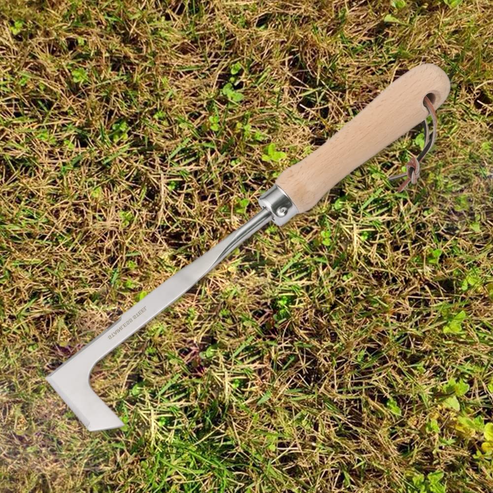 QWLWBU Crack Weeder helps lift small tap-rooted weeds from crevices