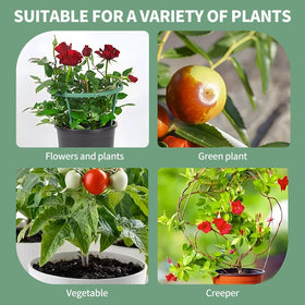 QWLWBU compatible system supports many small to medium flowering plants.