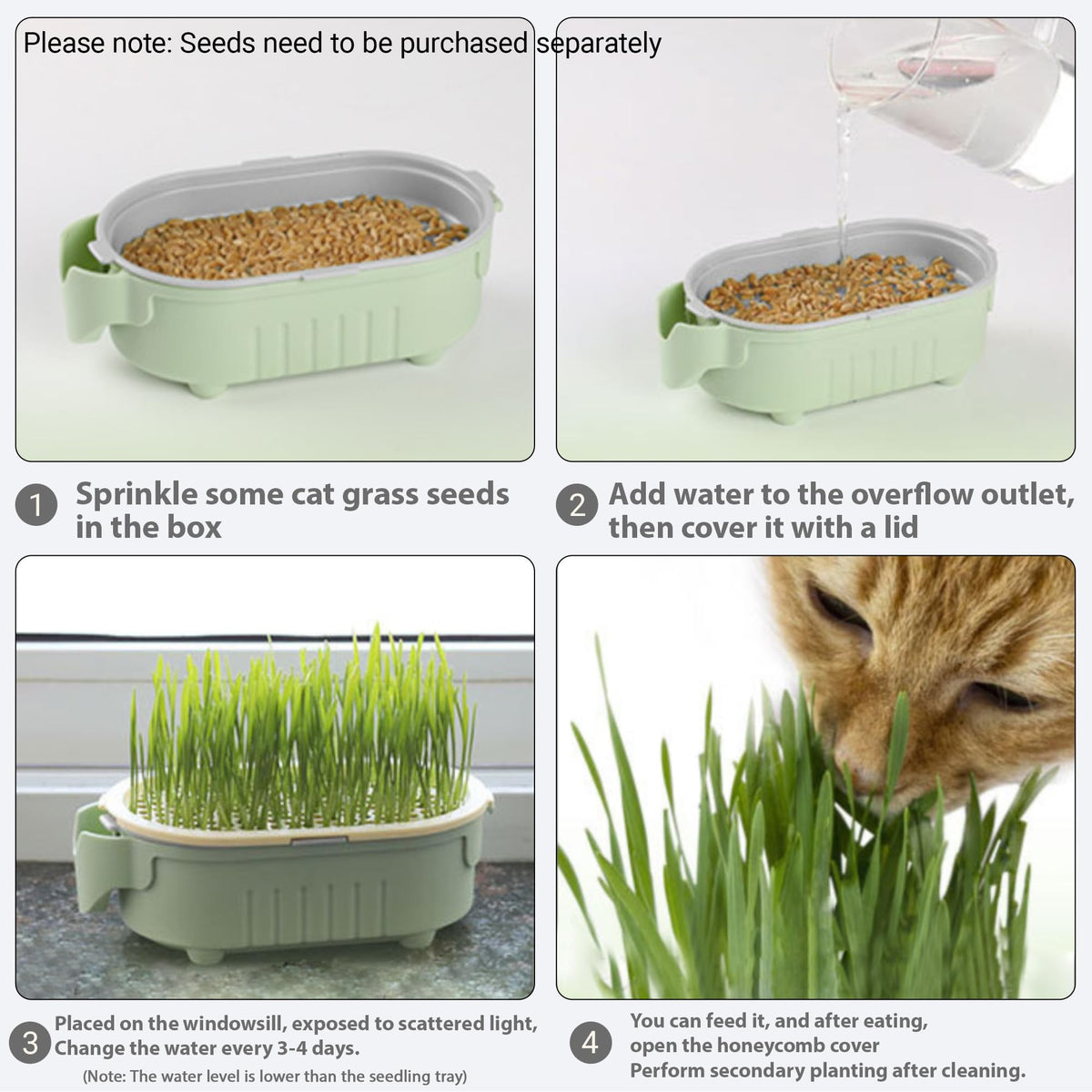 QZAVIRE compact-design cat grass planter fits windowsills and countertops