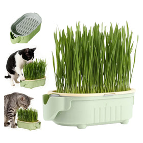 QZAVIRE hydroponic cat grass planter with a self-watering tray for easy indoor growing