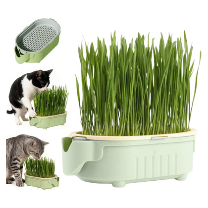 QZAVIRE hydroponic cat grass planter with a self-watering tray for easy indoor growing