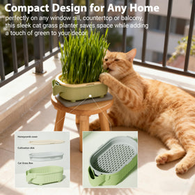 QZAVIRE self-watering tray supports steady growth with minimal water checks