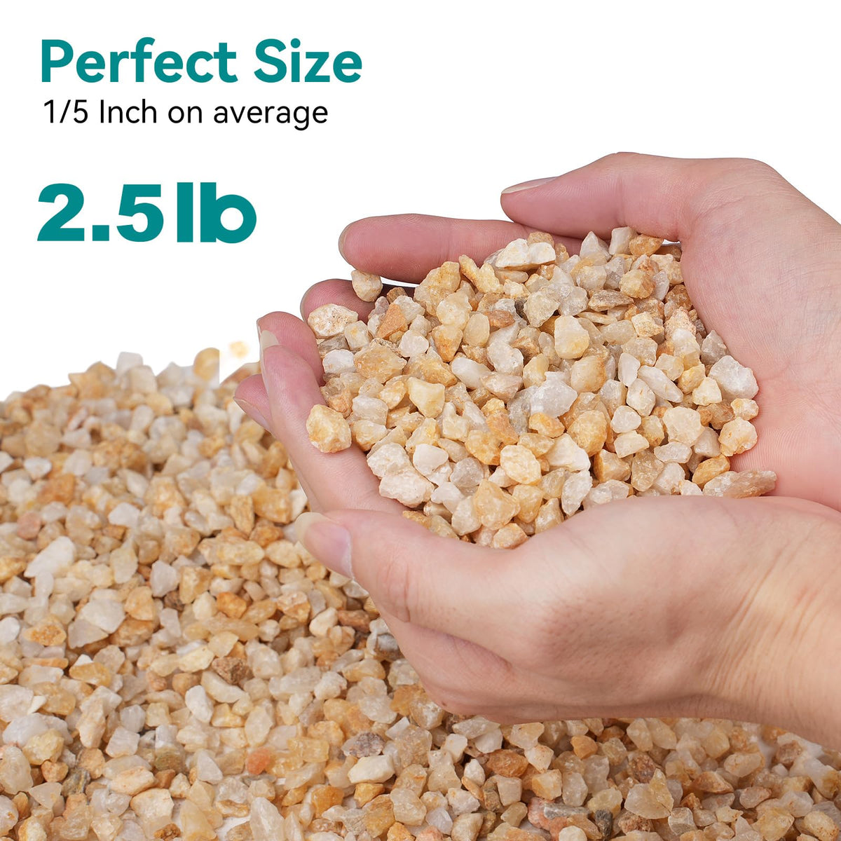 Rahato coarse sand for aquariums enhances substrate stability and aesthetics.