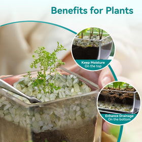 Rahato decorative gravel for planters and gardens enhances texture and stability.