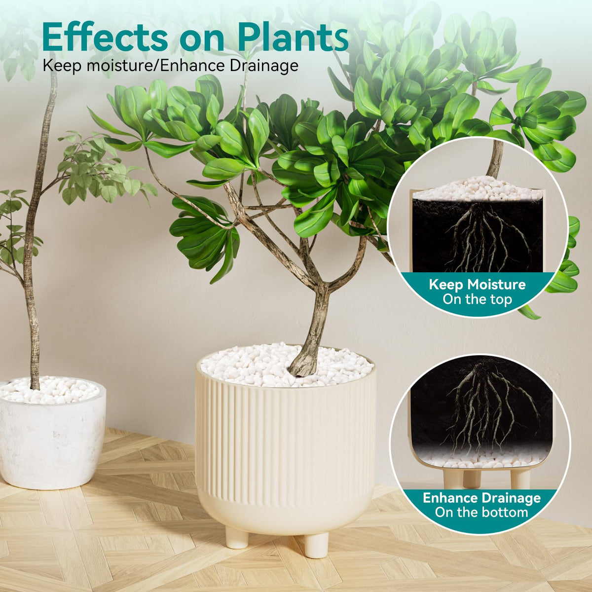 Rahato decorative stones for terrariums create a clean base