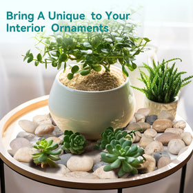 Rahato fairy garden stones in a whimsical tabletop display