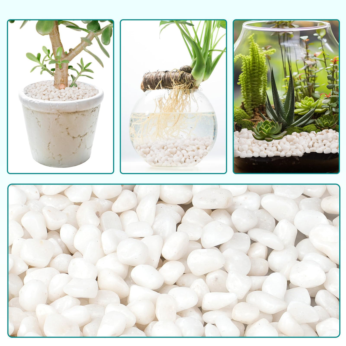 Rahato 5 lb bag of white rocks suits vases and tabletop decor