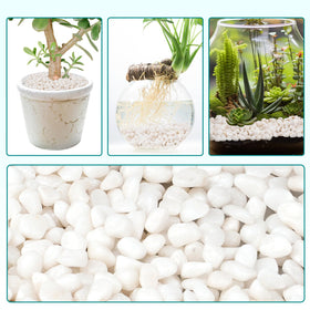 Rahato 5 lb bag of white rocks suits vases and tabletop decor