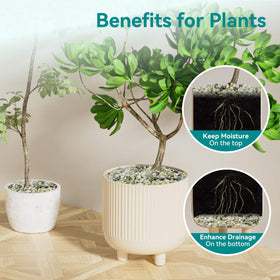 Rahato jade pebbles add natural contrast to bamboo arrangements
