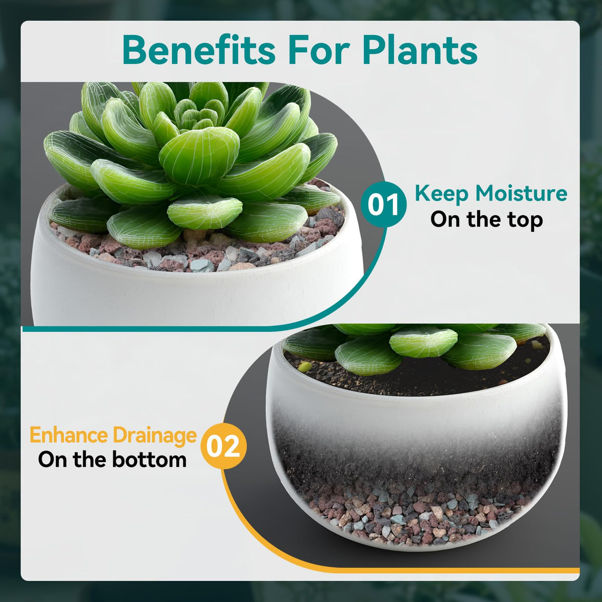 Rahato bonsai-terrarium lava rocks add natural contrast while improving drainage.