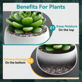 Rahato bonsai-terrarium lava rocks add natural contrast while improving drainage.