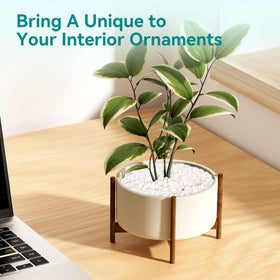 Rahato small white rocks enhance terrariums and indoor plant styling