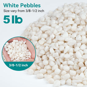 Rahato white pebbles for succulents provide neat contrast and drainage