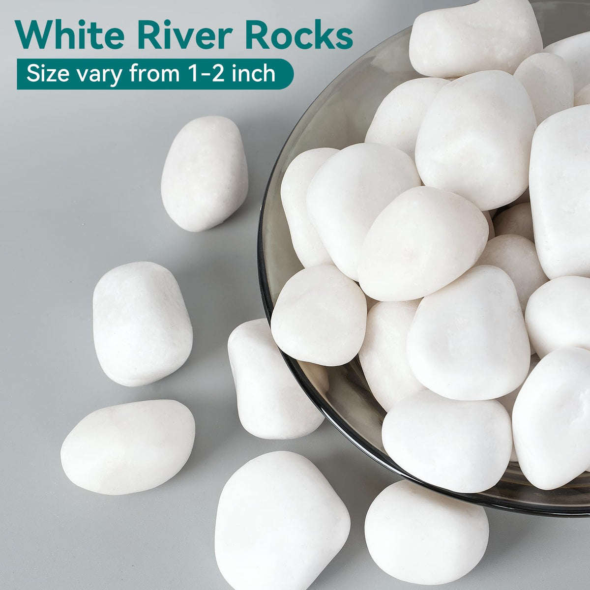 Rahato white rocks 1-2 inch for vases create a clean, polished look.