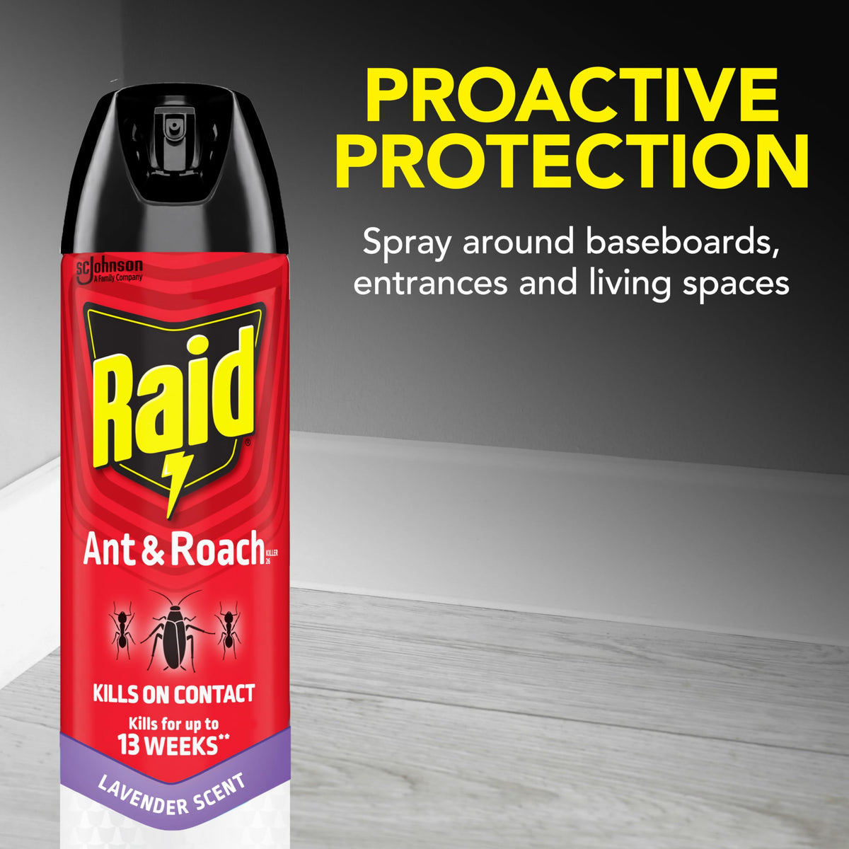 Raid Ant & Roach Killer Spray 12-ounce can ideal for indoor surface treatment.