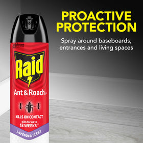 Raid Ant & Roach Killer Spray 12-ounce can ideal for indoor surface treatment.
