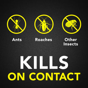 Raid Ant & Roach Killer Spray mist on surface showing residual action up to 13 weeks.