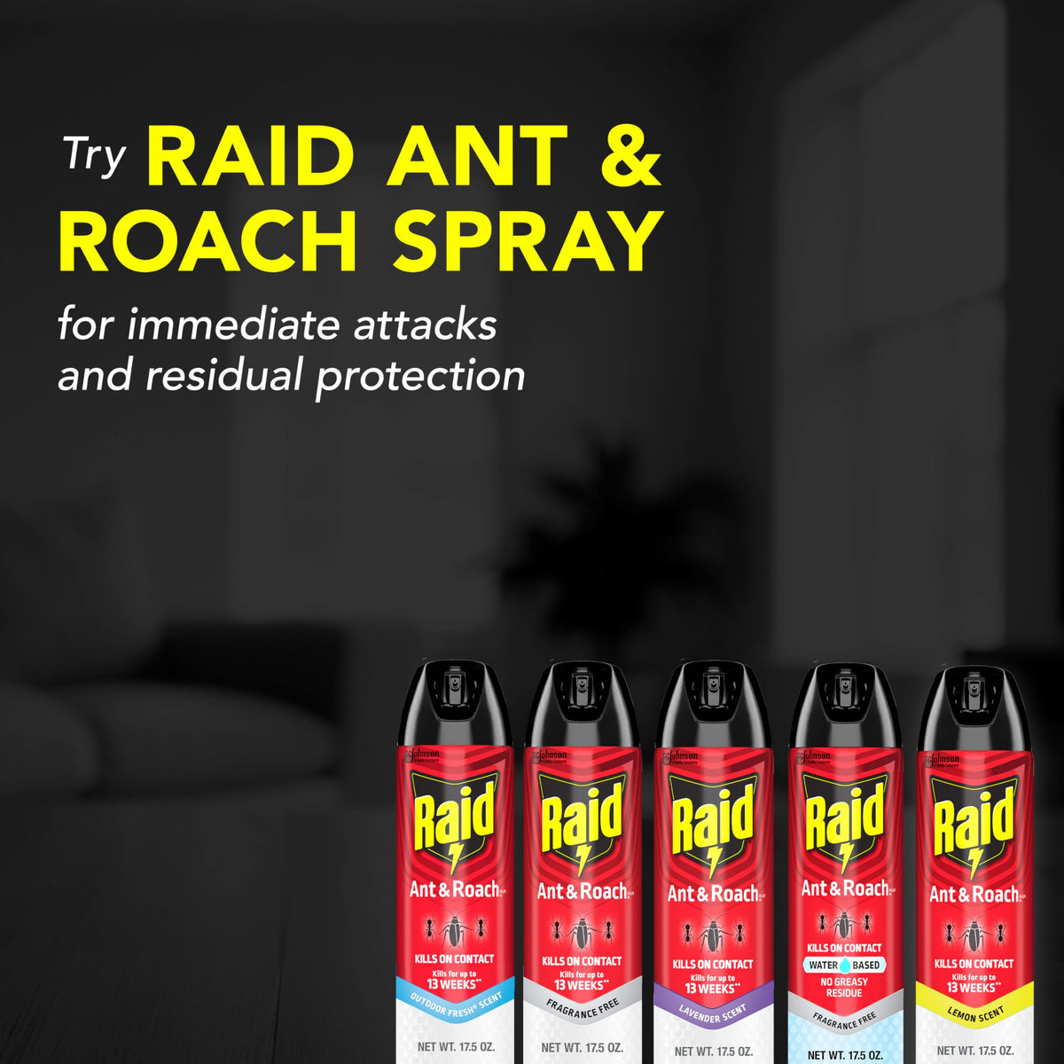 Raid spray visuals showing room coverage and fast bug killing potential.