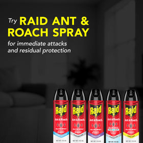 Raid spray visuals showing room coverage and fast bug killing potential.