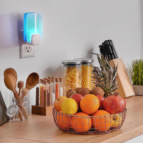 Raid Essentials glow attracts flying insects in a real-use setting