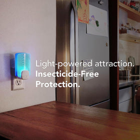 Raid Essentials light attraction glow demonstrates insect-drawing power