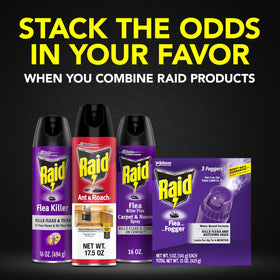 Raid flea killer fogger 5 oz bottle with compact design