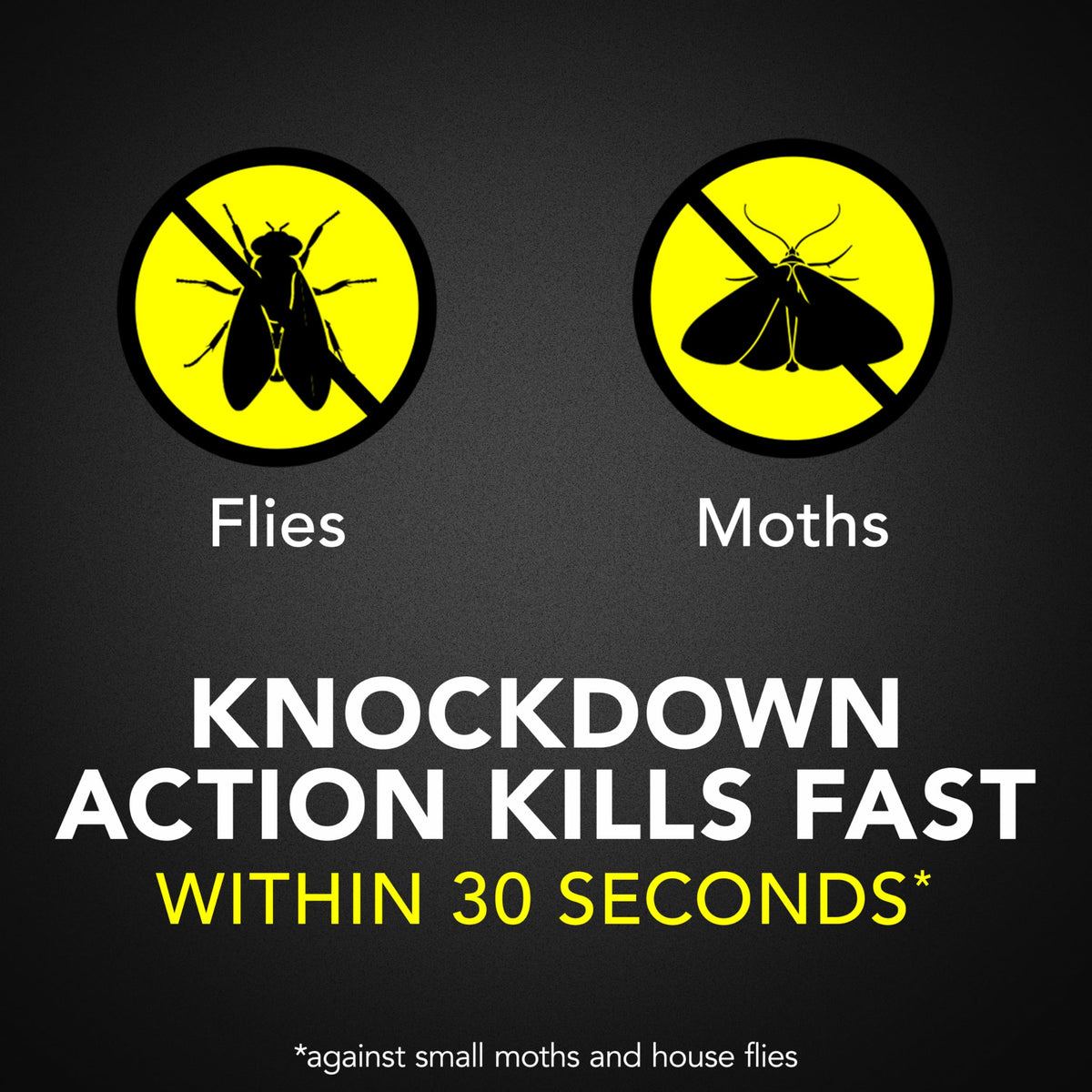 Raid Flying Insect Killer suitable for indoor use to reduce nuisance pests.