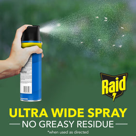 Raid Flying Insect Killer label close-up highlighting Outdoor Fresh scent.