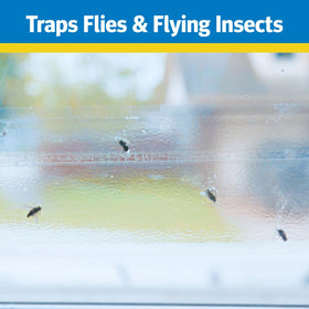 Raid trap full disposal without mess keeps spaces clean
