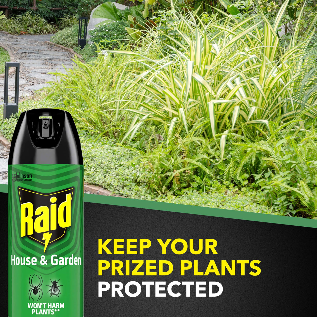 Raid House & Garden controls boxelder bugs and crickets effectively.