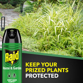 Raid House & Garden controls boxelder bugs and crickets effectively.