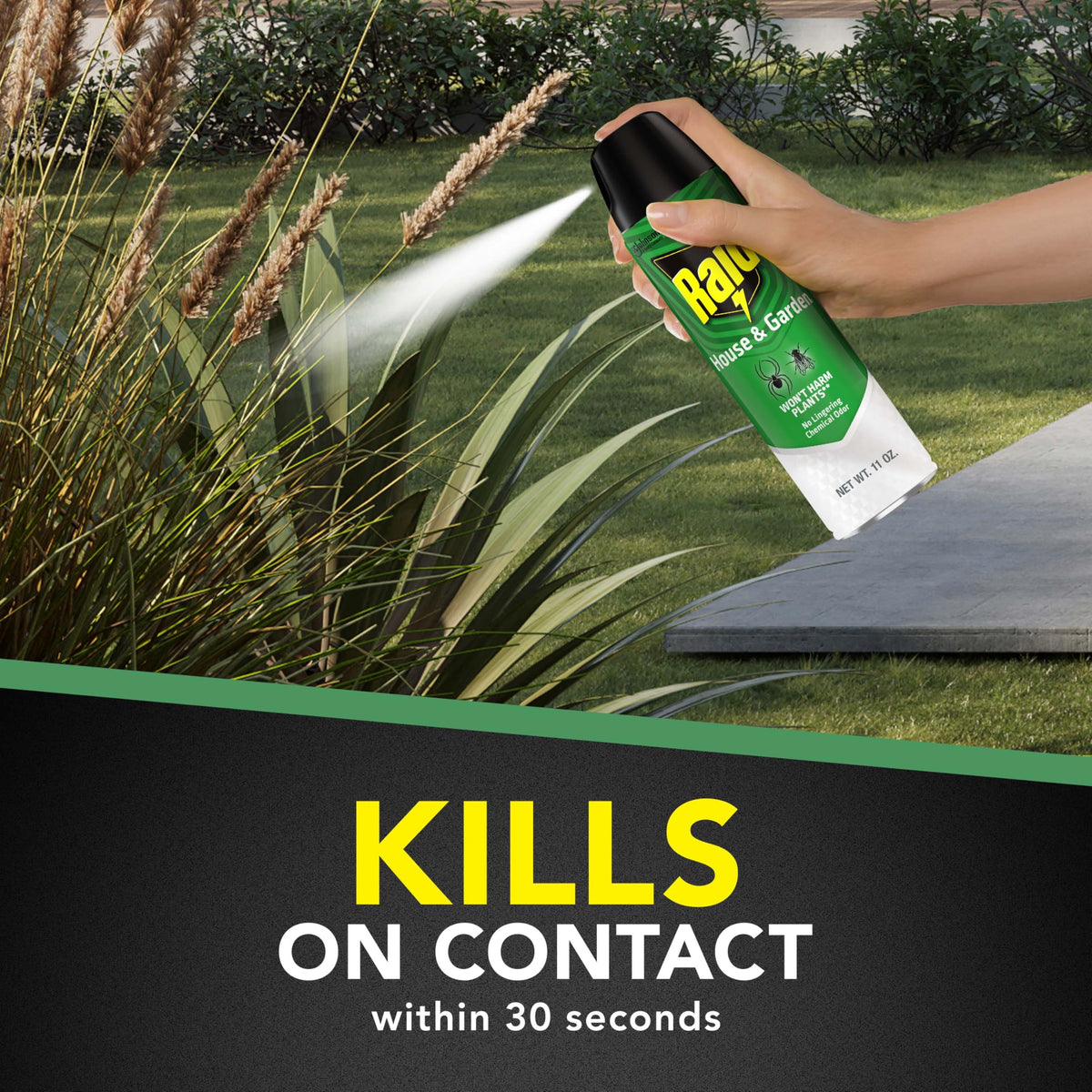 Raid House & Garden kills ants, roaches, and spiders on contact.