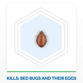 Raid Max Bed Bug Extended Protection spray nozzle shows targeted delivery for contact kill.
