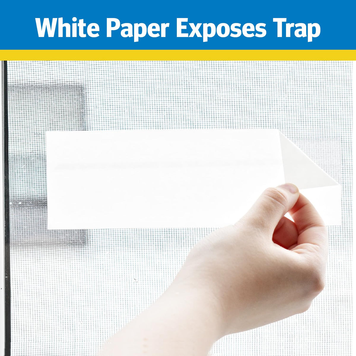 Raid sticky adhesive strip captures pests on contact