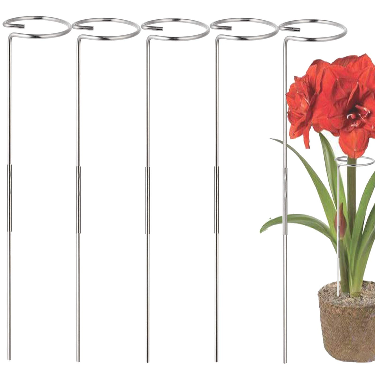 RAIKEDR 30-inch stake with cage offers sturdy support for tall blooms