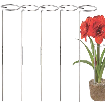 RAIKEDR 30-inch stake with cage offers sturdy support for tall blooms