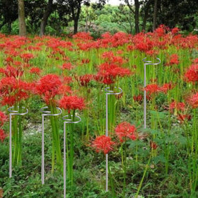 RAIKEDR easy installation for seasonal garden use