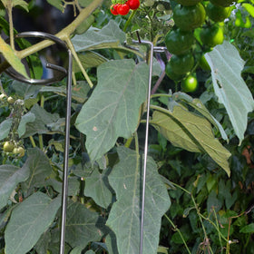 RAIKEDR versatile for roses, orchids, tomatoes, and more