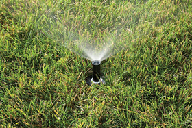 Rain Bird 1802QDSPRS stainless-steel spring supports dependable retraction