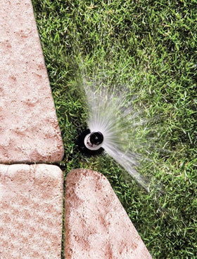 Rain Bird 1804VAN 4-inch pop-up height shown for low-profile irrigation.