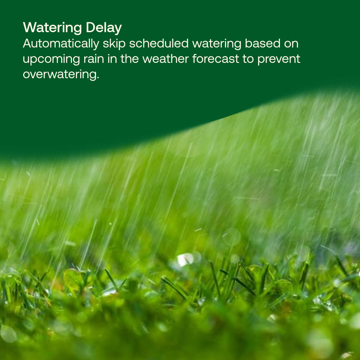 Rain Bird TRU8IW with Alexa/Google Assistant compatibility for voice-assisted watering.