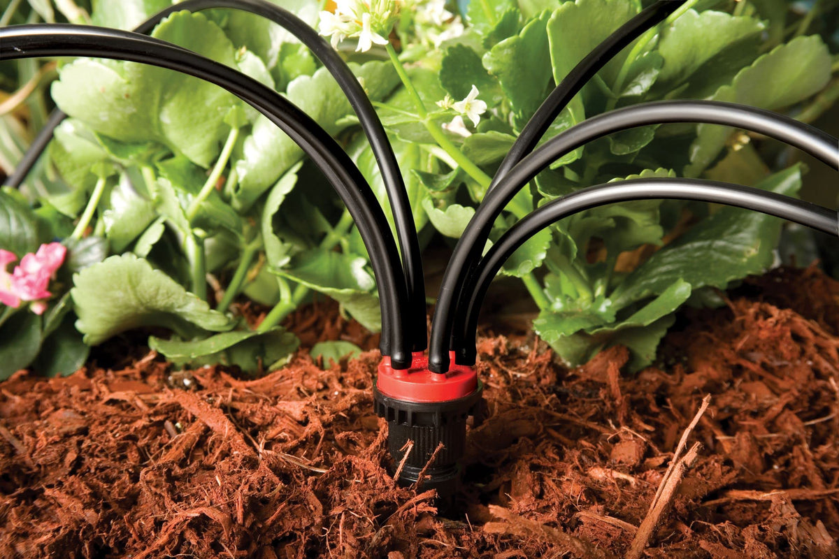 Rain Bird MANIF21PK outlets with drip tubing laid out for even irrigation across beds.