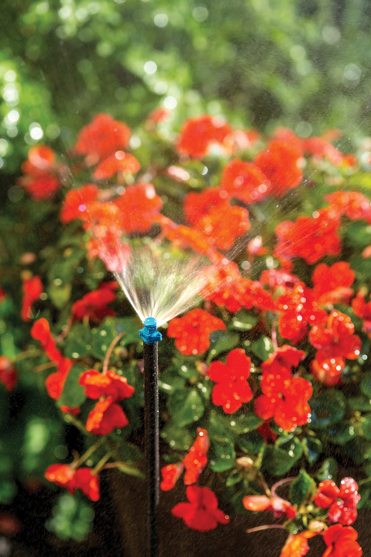 Rain Bird MSFQSTKX 5-foot spray distance enables targeted irrigation in beds