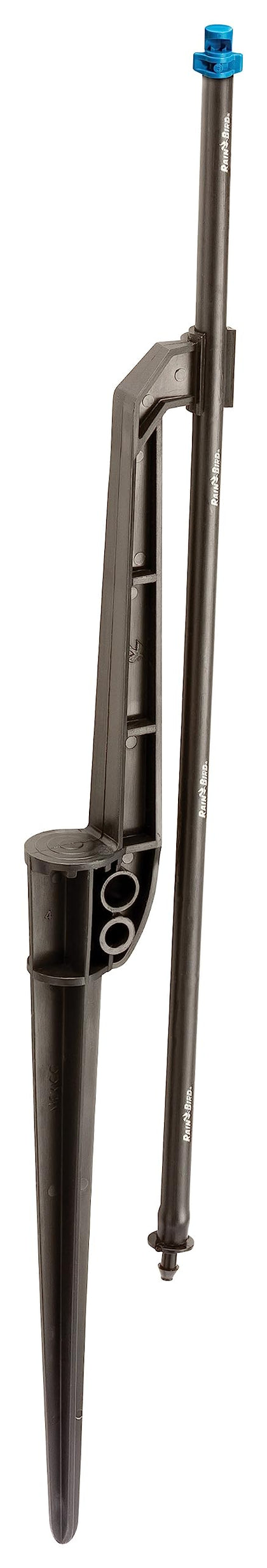 Rain Bird MSFQSTKX close-coverage fan spray on riser stake delivering precise watering