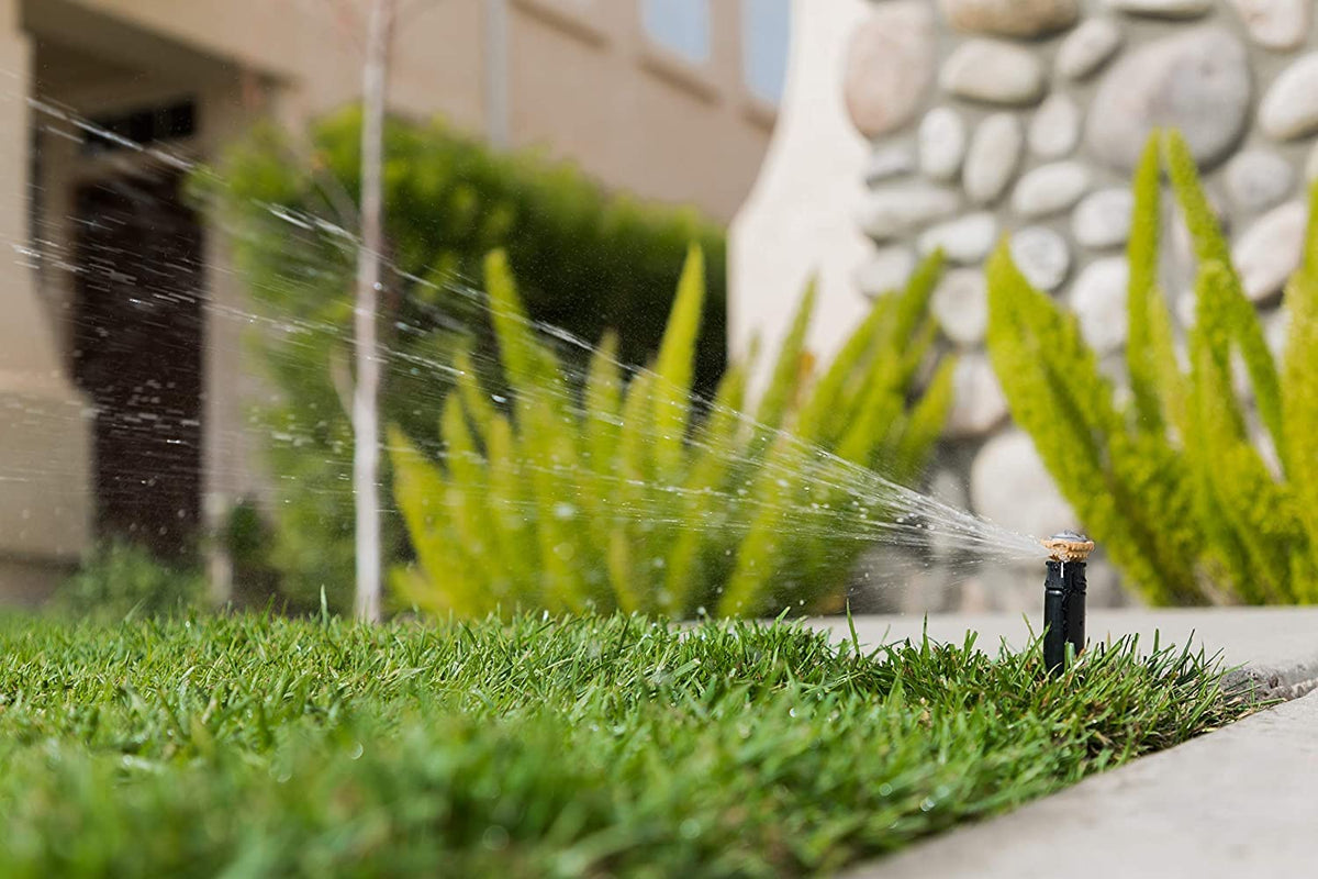 Rain Bird wind resistant coverage delivers reliable irrigation across the yard.