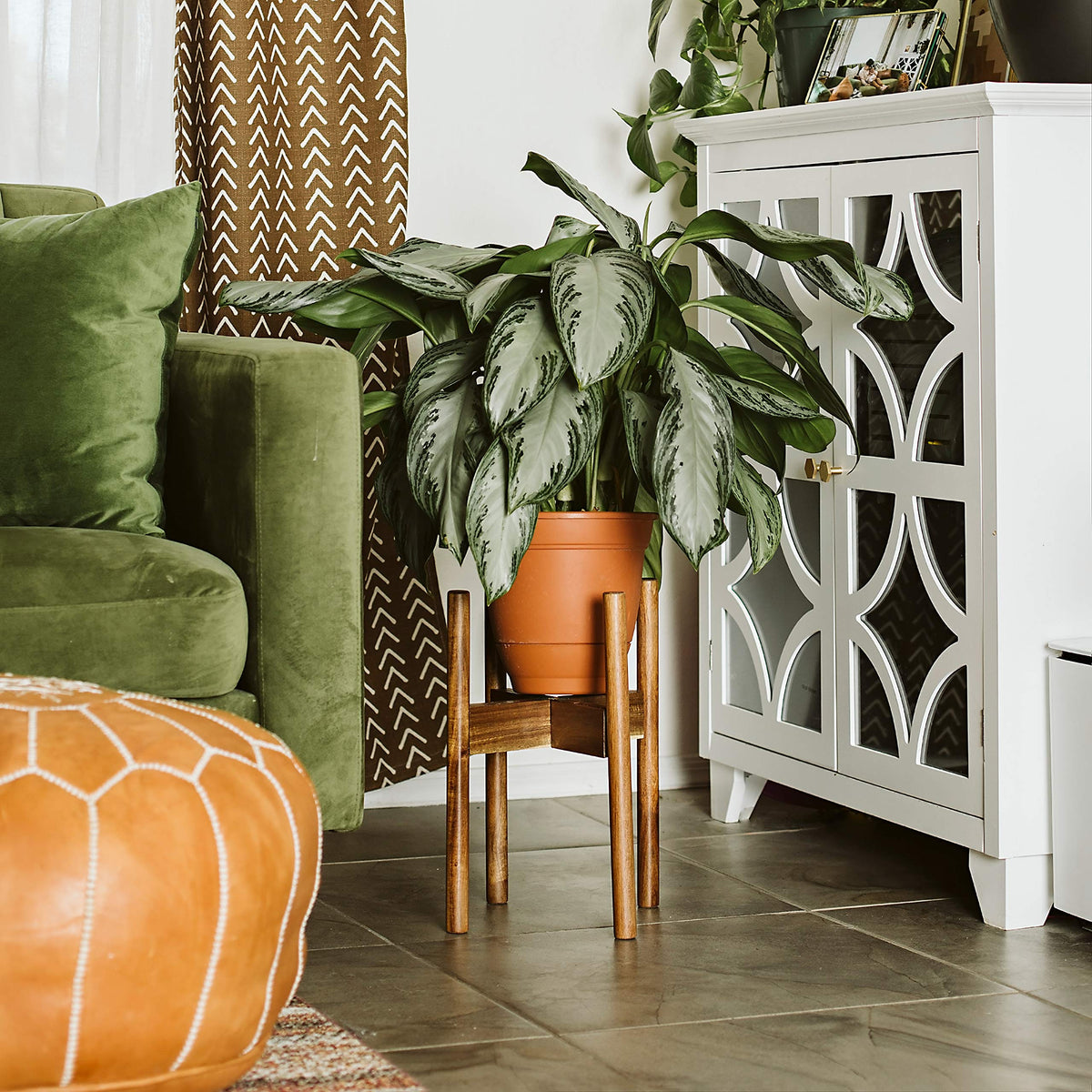 Rainbleland Acacia plant stand assembled demonstrates tool-free setup with included Allen key.