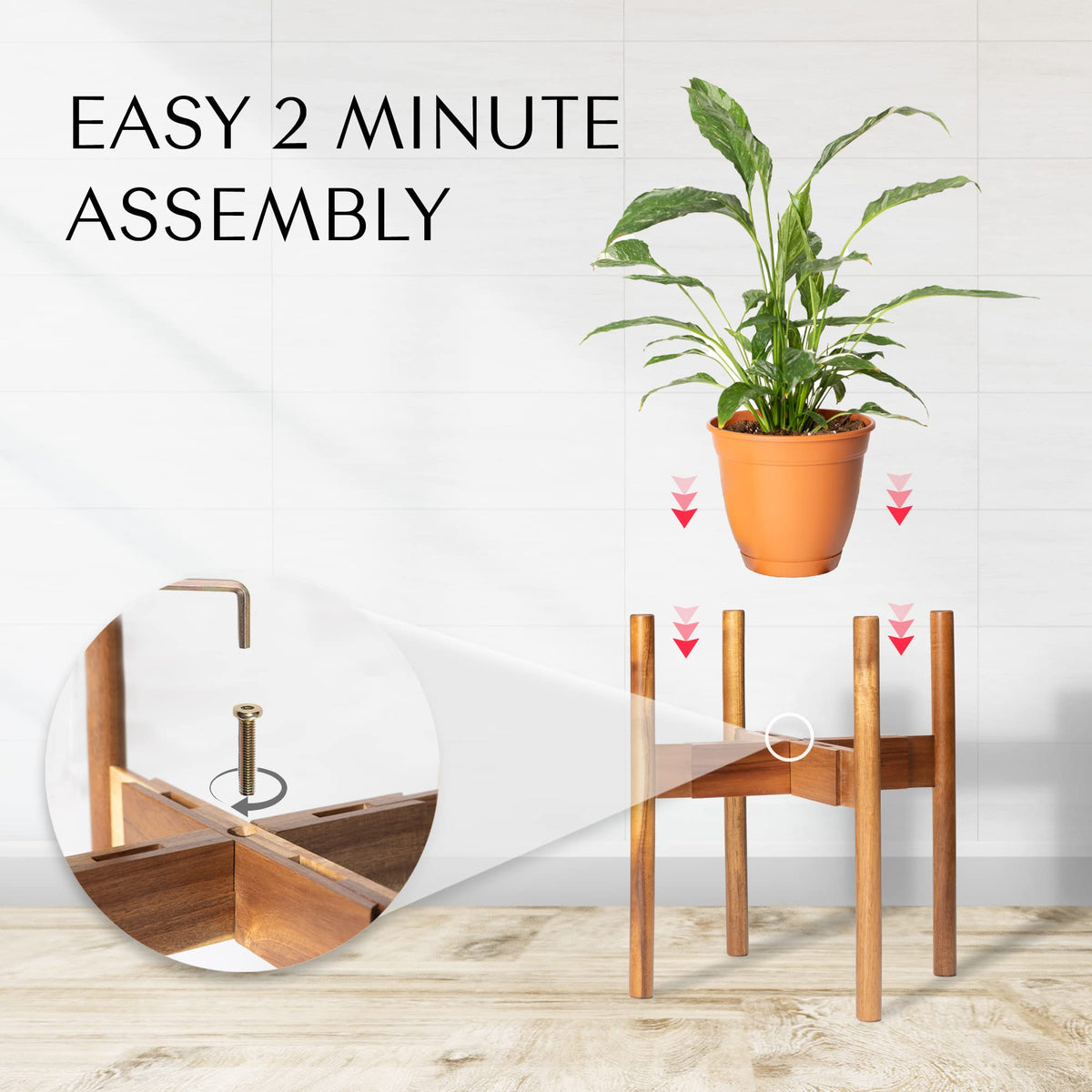 Rainbleland Acacia plant stand flipped-low height view highlights two height options.