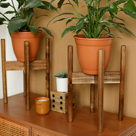 Rainbleland Acacia plant stand in living room complements modern decor and greenery.