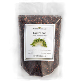 Rainbow Heirloom Eastern Sun mizuna microgreen seeds for crisp salad garnish.
