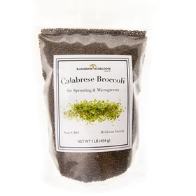 Rainbow Heirloom Calabrese broccoli seeds for sprouts ready to germinate.